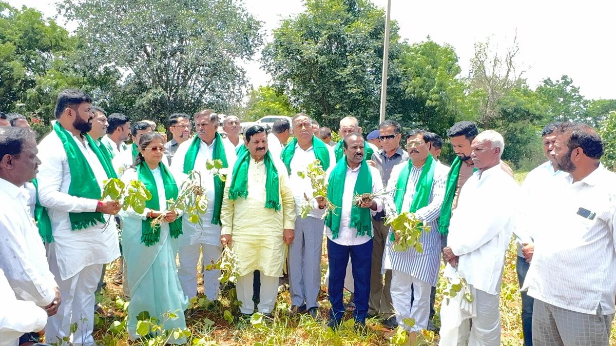 Belagavi: BJP seeks immediate drought relief