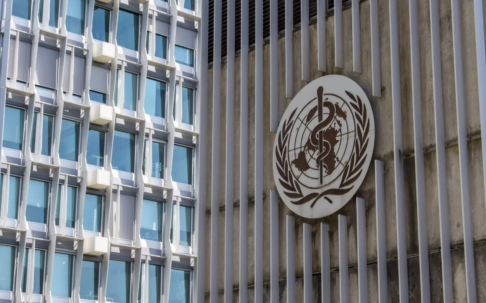 WHO chief says warehouse hit in Ukraine