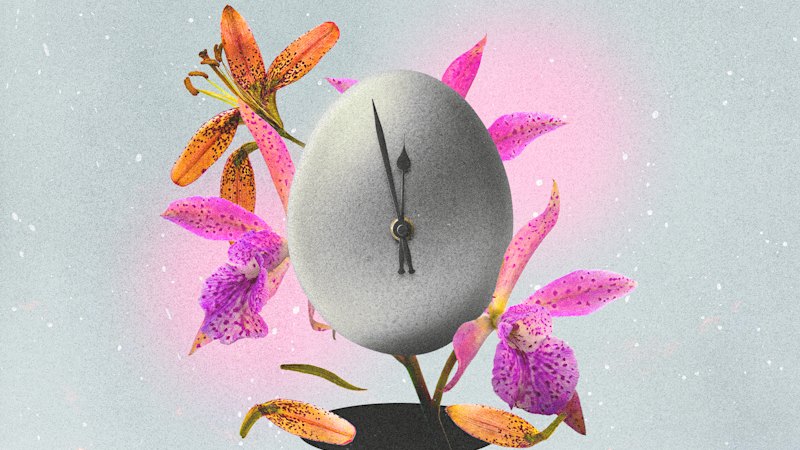 Behind the rise of the ‘fertility test’ – and why doctors say it’s misleading women