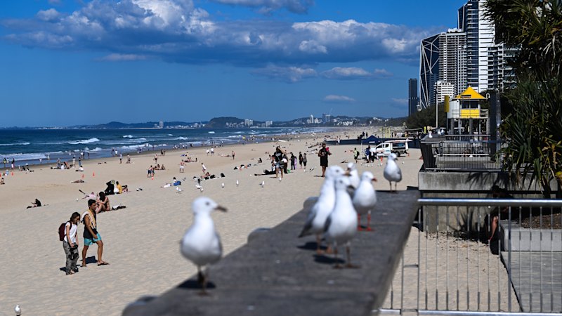 The South East Queensland suburbs where sea-changers are flocking