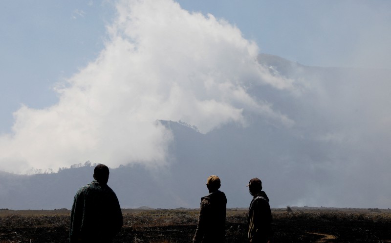 Strong winds fuel Bromo wildfire, blaze spreads to 520ha