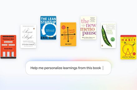 Gemini Notebook now lets you reference books and turn them into different formats
