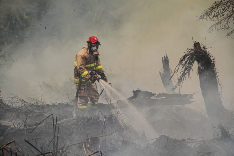 Forestry reform urged as wildfire threatens health, ecosystem
