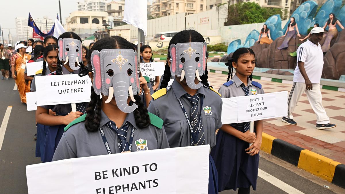 160 students take part in Elephant Day drawing contest at Vizag zoo