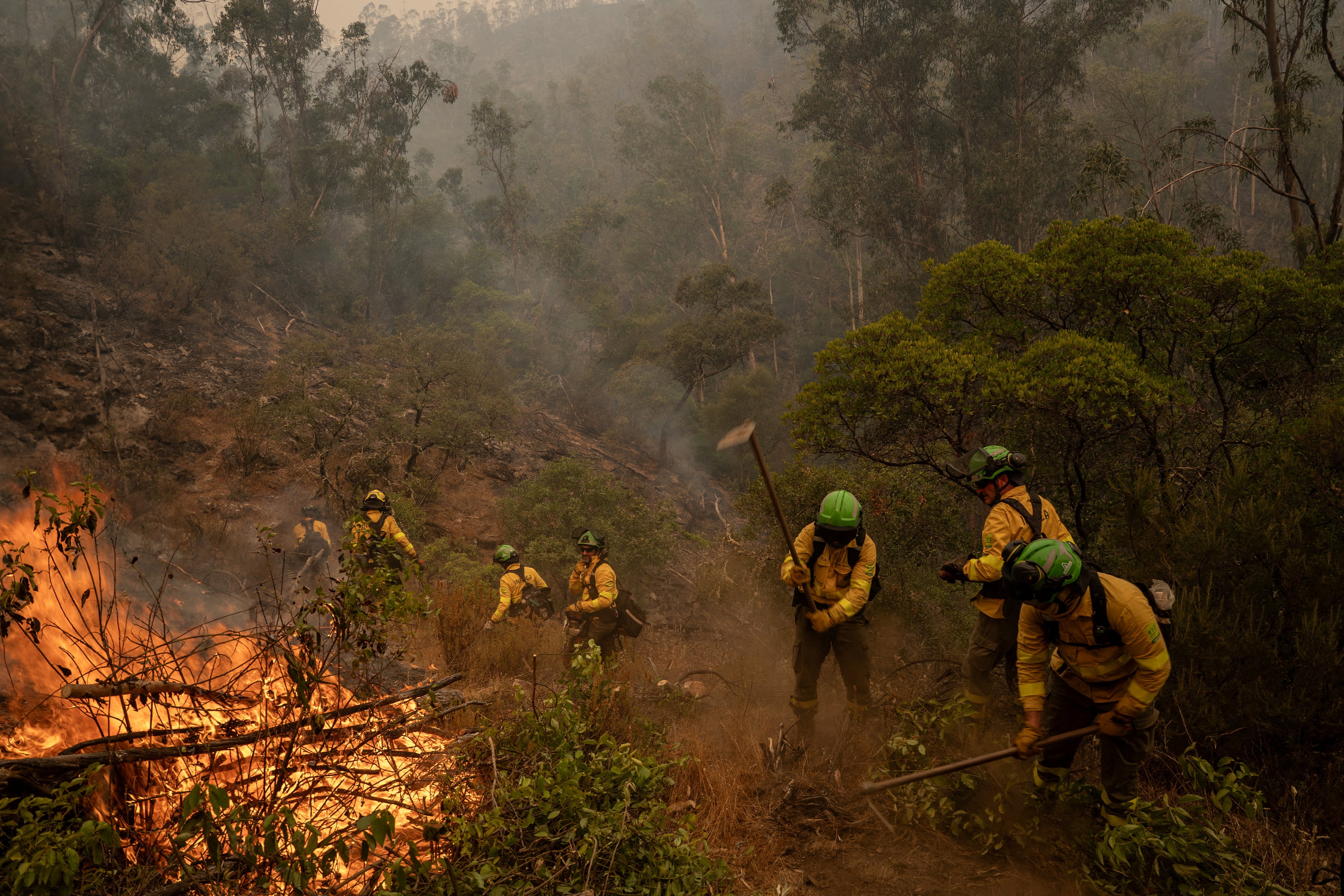 The Niebla (Huelva) fire has 467 people evacuated after traveling 8,000 hectares