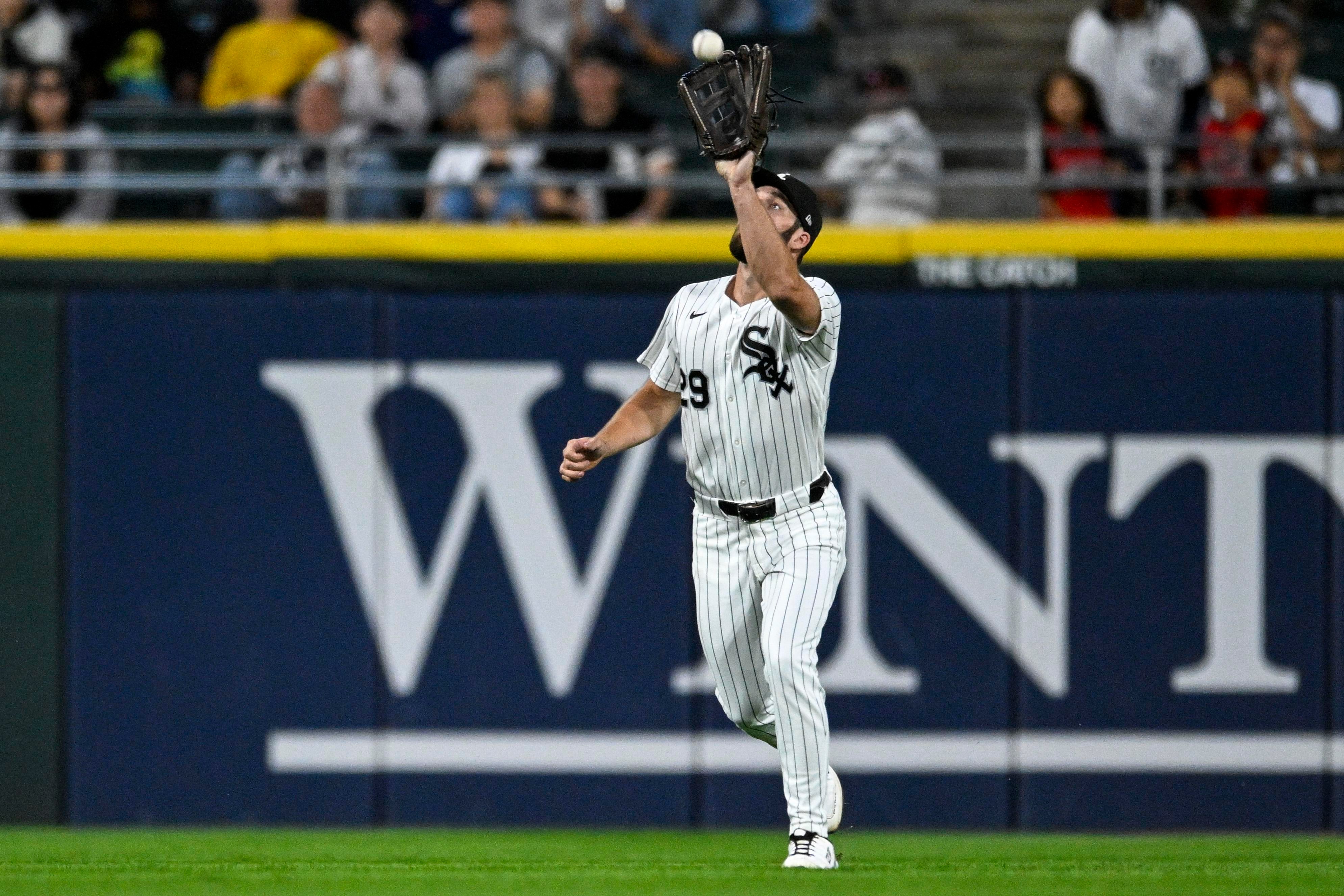 Is the White Sox D … a D?