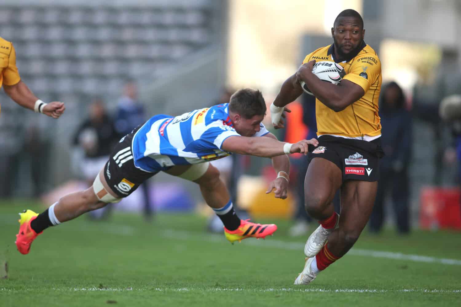 Currie Cup result: Cheetahs stun wasteful Stormers in Cape Town