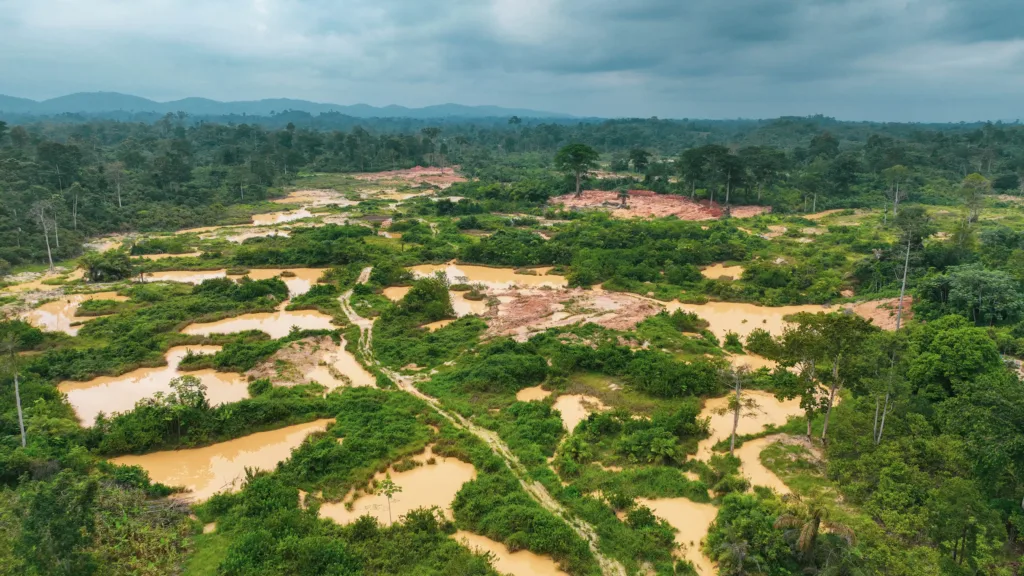 The Paradox of Plenty: Why the Western and Western North Regions deserve better