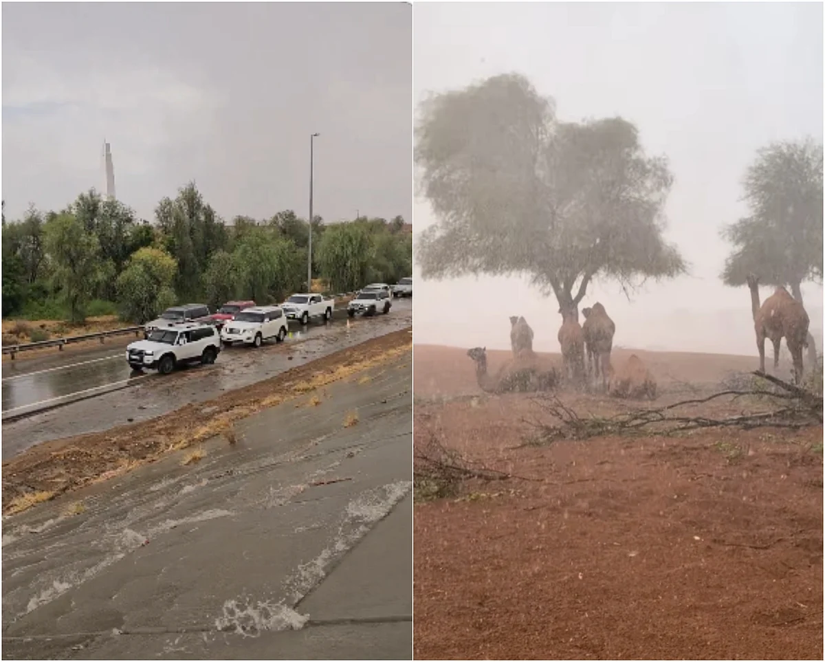 UAE weather alert: Heavy rain, strong winds and poor visibility forecast
