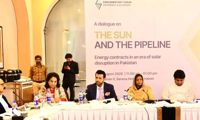 Parliamentarians urge government to avoid long-term energy contracts