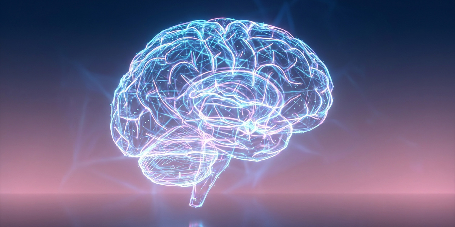 The hidden architecture of forgotten first languages in the human brain