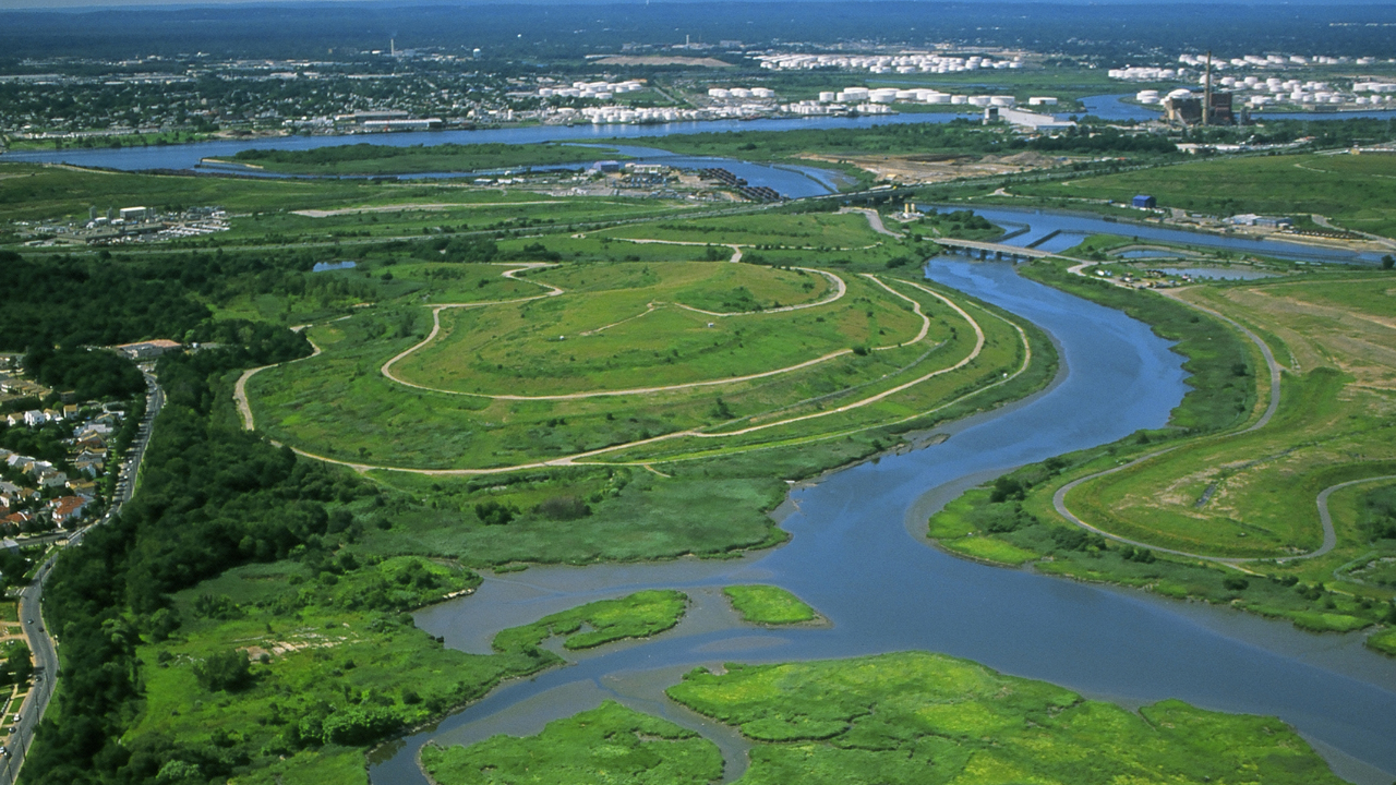 New York's Bluebelt wetlands saved $80 million in infrastructure costs