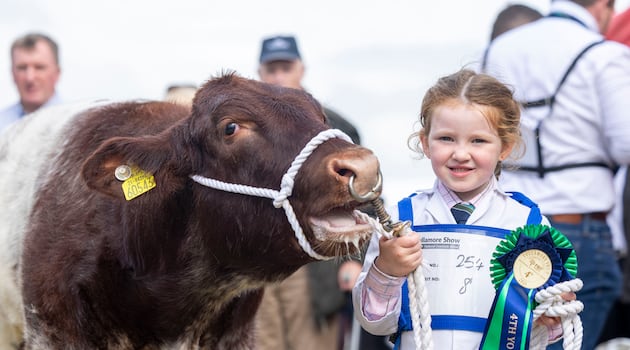 Tullamore Show: More than 70,000 flock to agricultural spectacular as it celebrates 35 years