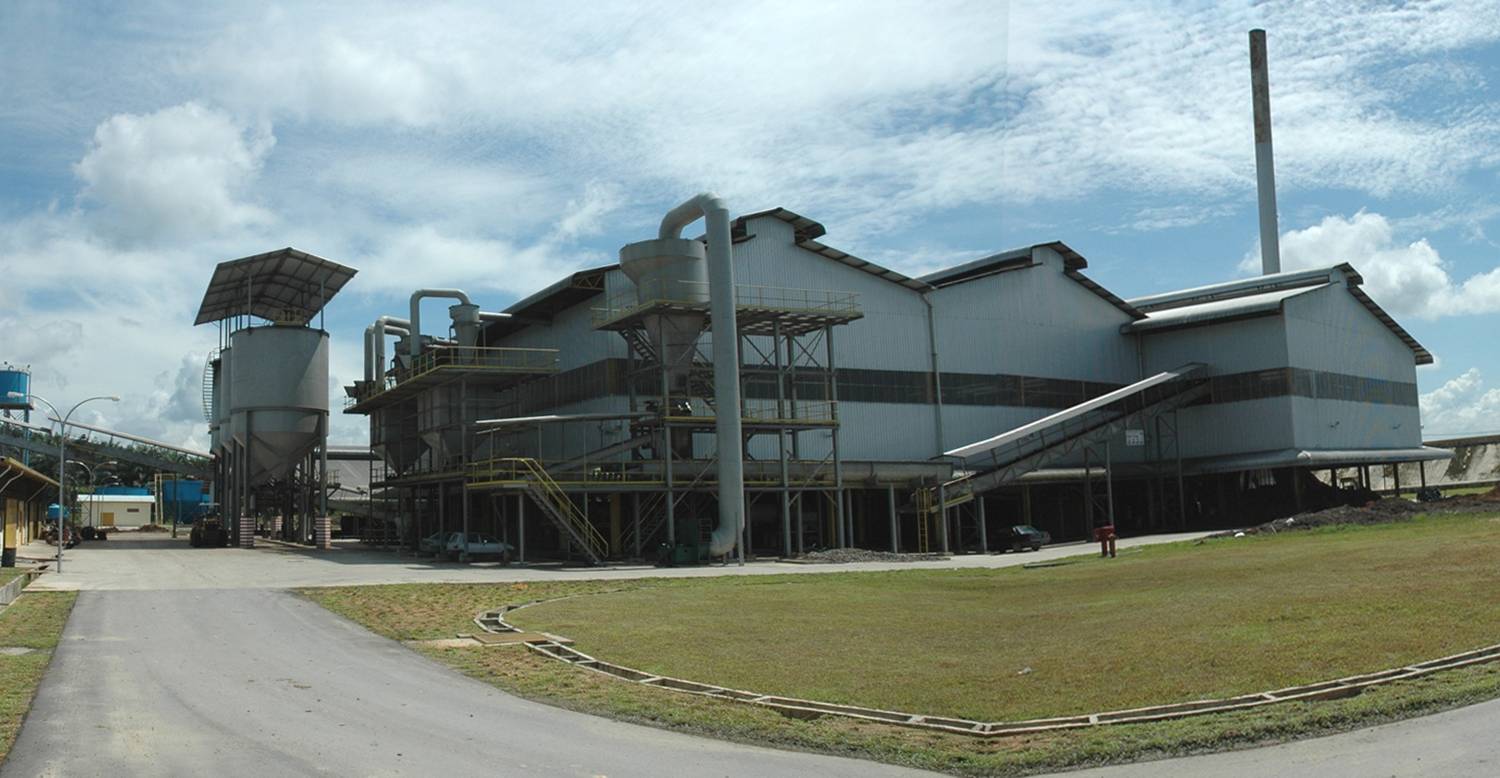 Plantation earnings lift Ta Ann as timber stays in the red