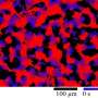 Tiny particles defy action-reaction symmetry to stay in motion