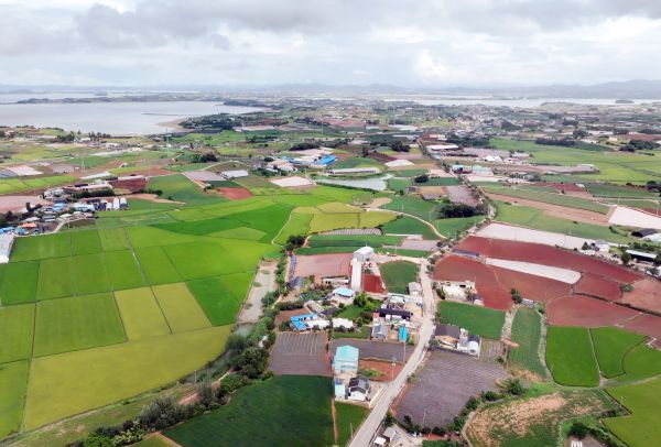 Defense Ministry Selects Area in Muan as Relocation Site for Military Base in Gwangju