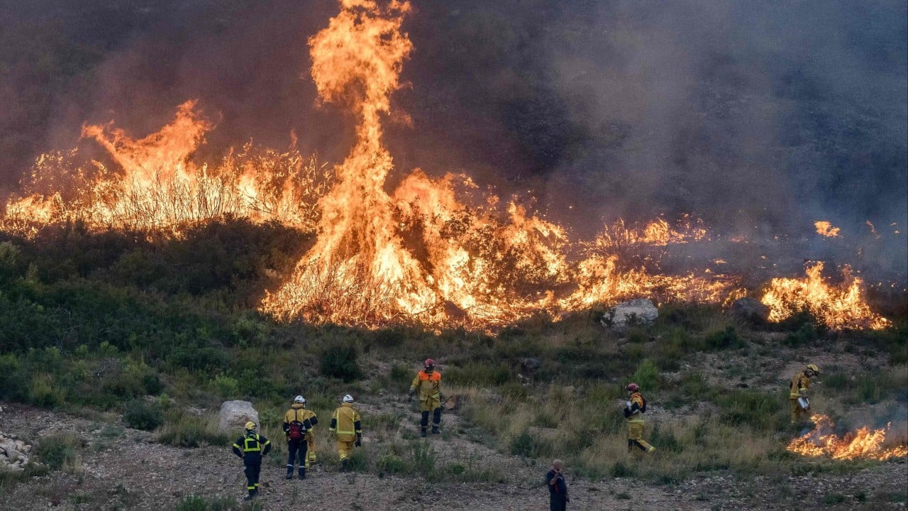 Over 200 firefighters battle blaze in southern France