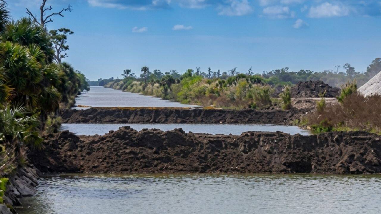 Florida restores 55,000 acres after removing 260 miles of roads