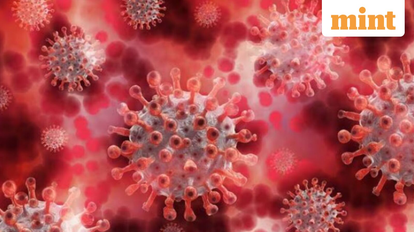Chandipura virus: What is it, how does it spread, symptoms and ways to prevent infection