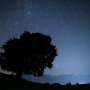 How to spot the Perseid meteor shower, a summer light show that promises to dazzle