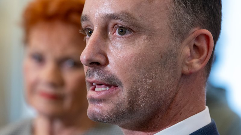 To rein in Hanson, her political foes must stop making One Nation’s case
