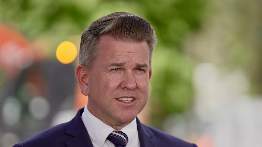 'Build, baby, build': Politician's land approvals in spotlight amid donation spree