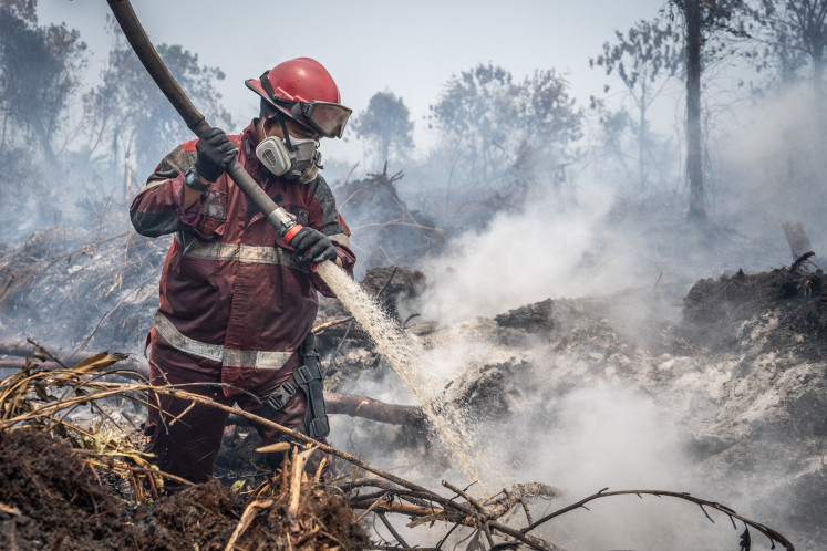 Breaking the vicious cycle of forest fires and haze