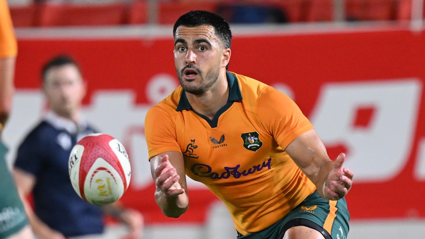 'Licence to play': New Wallabies coach backing players in attack