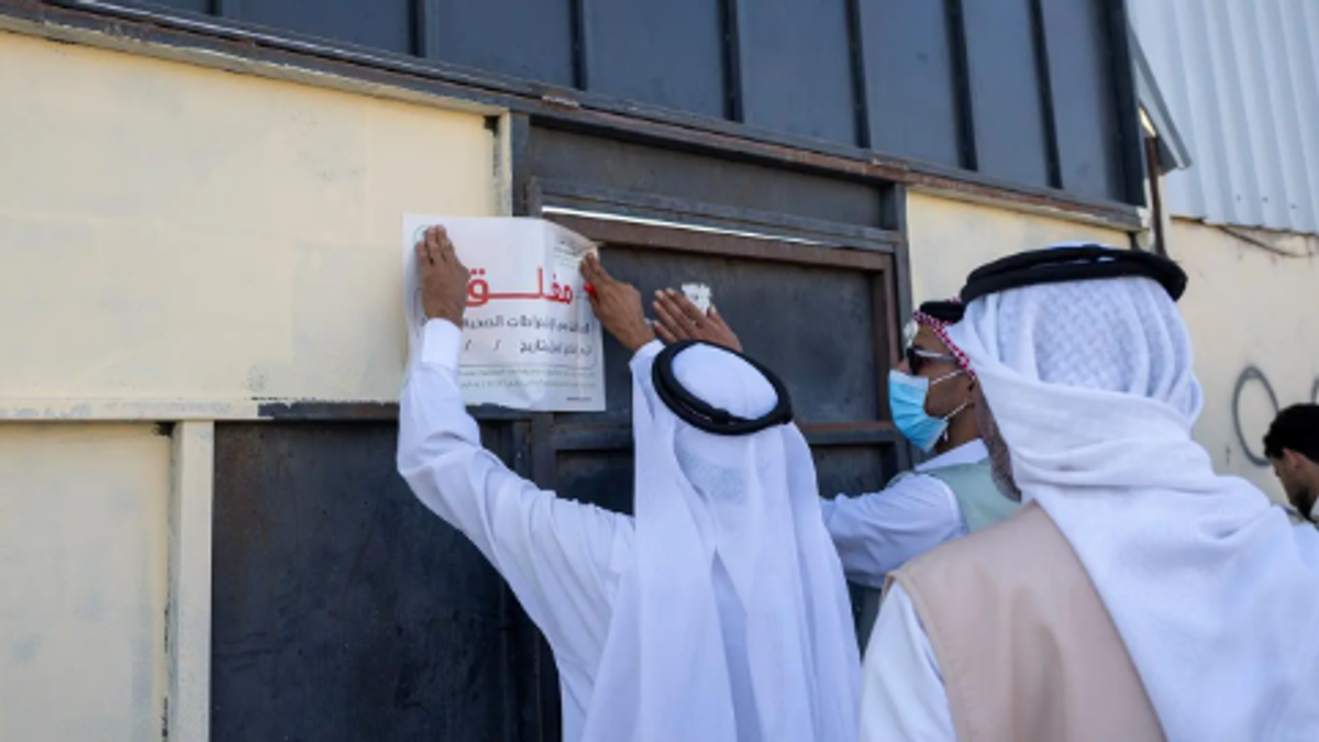 Inspection and awareness campaign launched to boost compliance at Tabuk livestock markets