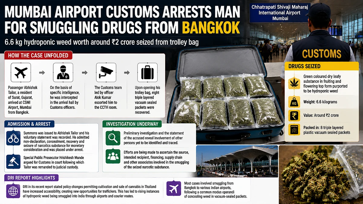Mumbai Airport Customs Arrests Surat Man For Allegedly Smuggling ₹2 Crore Hydroponic Weed From Bangkok