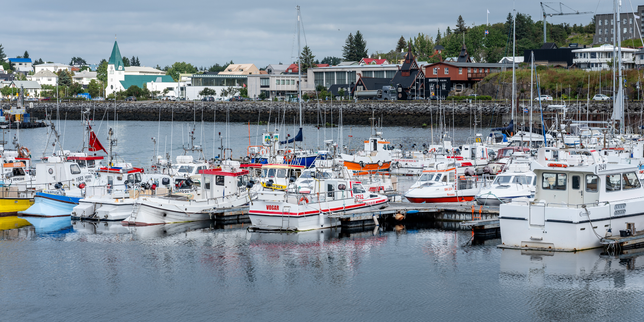 In Iceland, the prospect of joining the EU generates little enthusiasm ahead of referendum