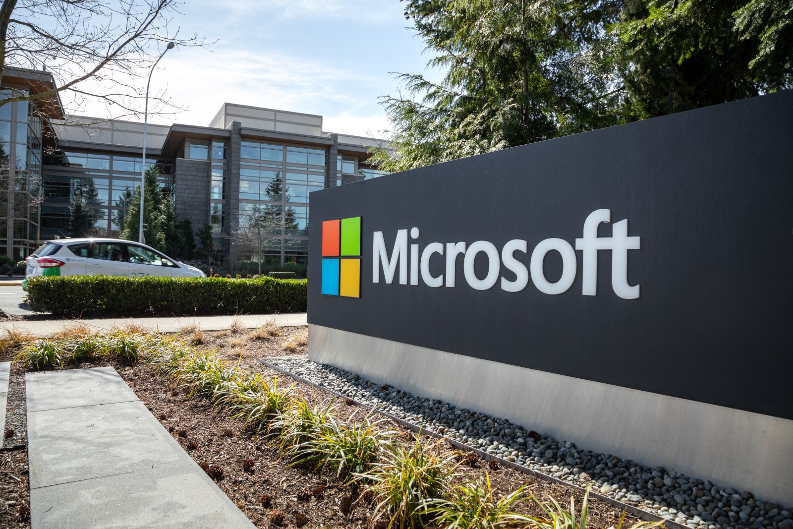 How Is Microsoft’s Stock Performance Compared to Other Software Services Stocks?