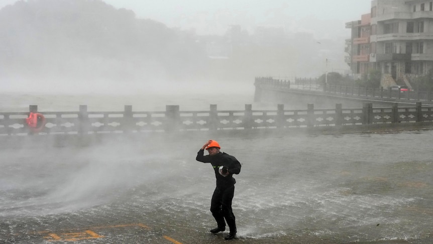 Flights cancelled, evacuations as Typhoon Dolphin hits China