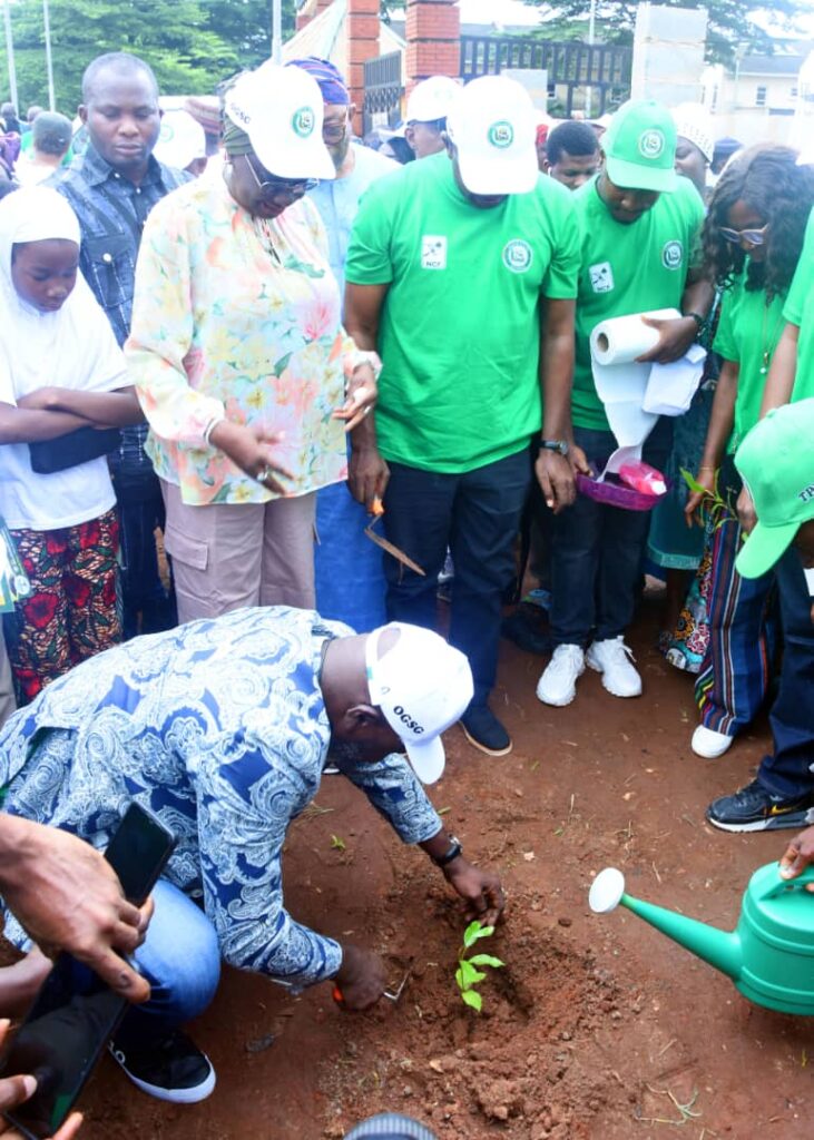 Ogun targets ecosystem restoration in annual tree planting