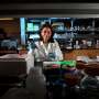 Pine bark and sponge compounds could counter drug-resistant malaria and babesiosis