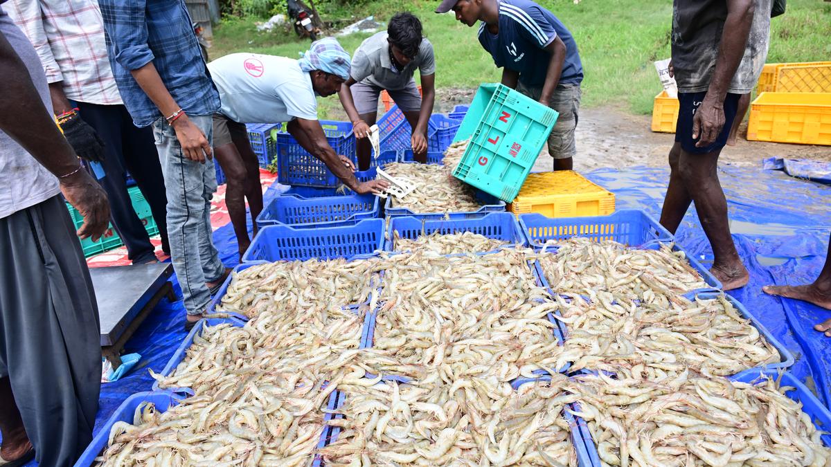 Fish workers plan protest to demand land rights, reservation