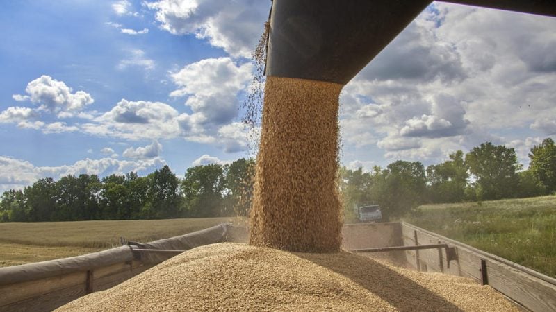 Russia launches third attack on Ukraine’s largest Danube port this month, during peak of wheat harvest