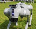Sheep-herding robot dogs put to the test at the Ekka Royal Queensland show — video