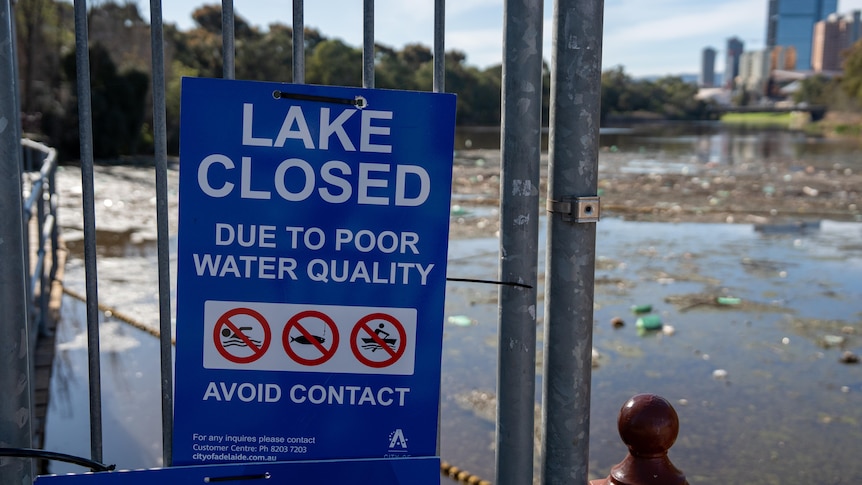 Can tiny bubbles restore health to the Torrens lake?