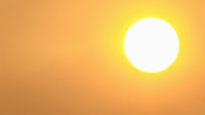 Western Europe experienced hottest June-July on record