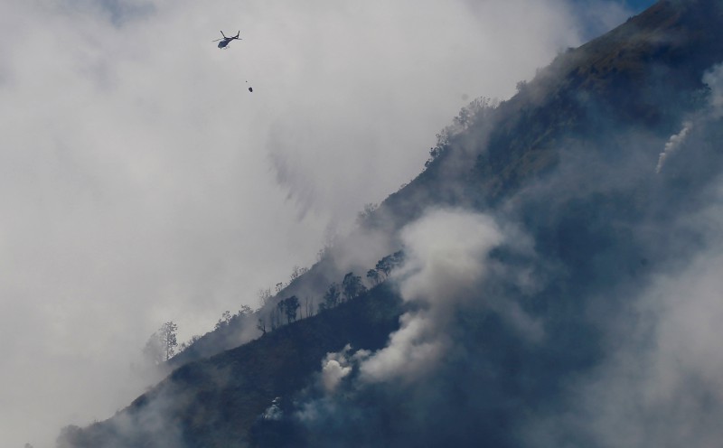 Fire near Indonesia's Mount Bromo extinguished but new hotspots emerge