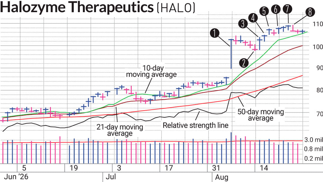 Tight Action In HALO Stock Sets Up Heavenly Gains