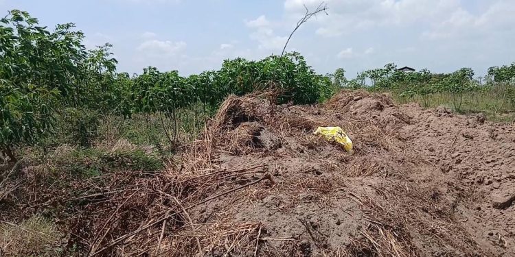 Sand-winning destroys over 50 acres of farmland at Tsumkpo