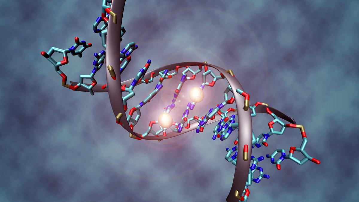 If DNA is the instruction manual, we just opened a big second volume