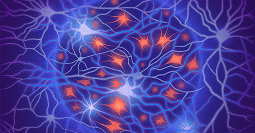 Are parts of the memory trace found in the ‘astroengram?’