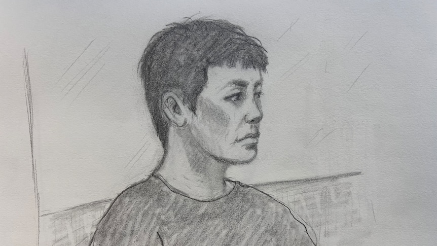 Accused Chinese people smuggler denied bail in Cairns court