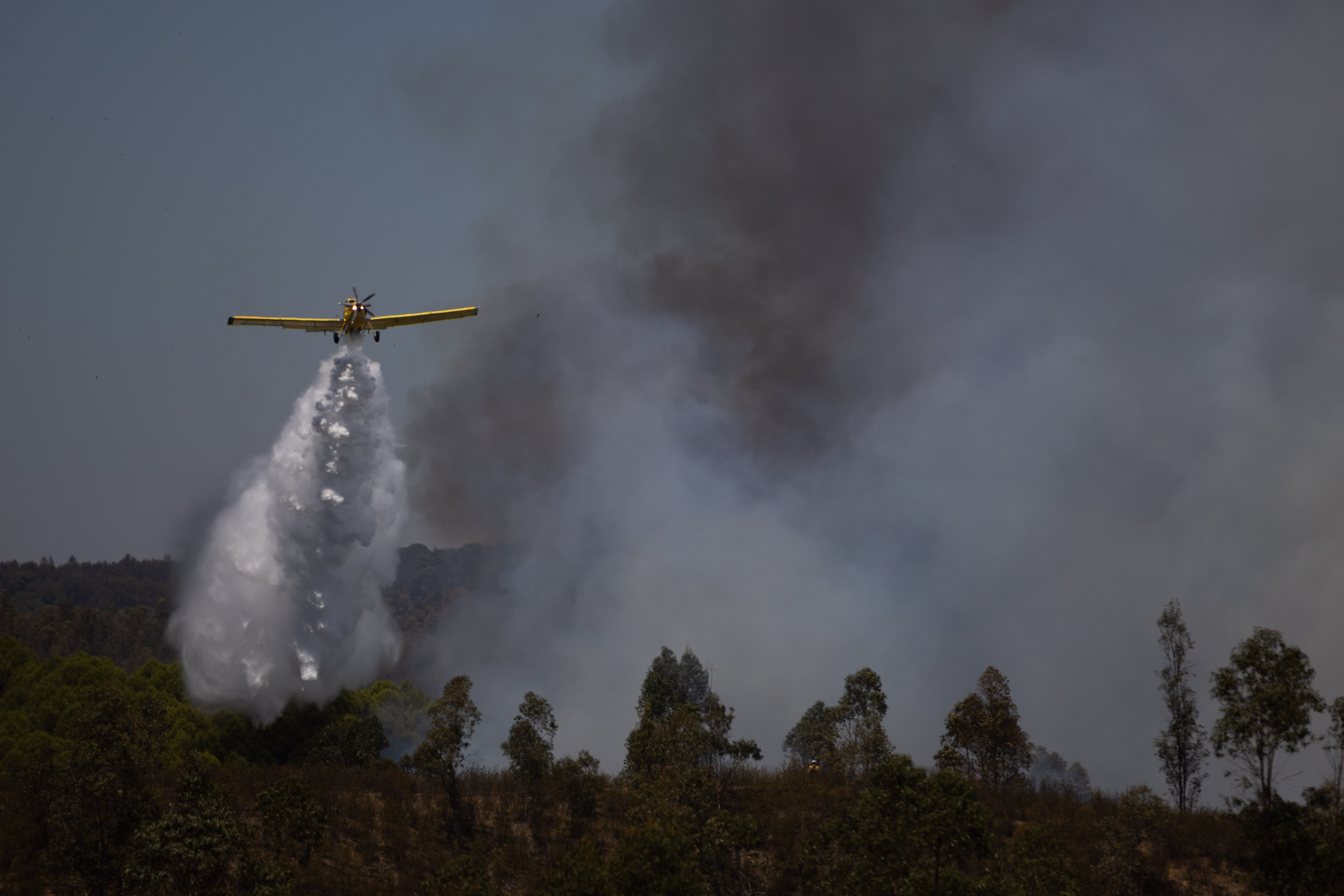Spain, on red alert for fear of fires due to negligence during eclipse viewing