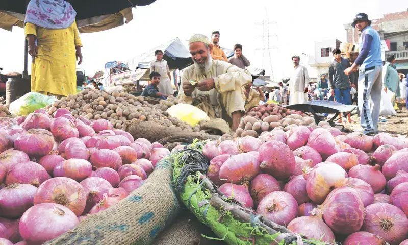 Farmers in Sindh losing appetite for onions