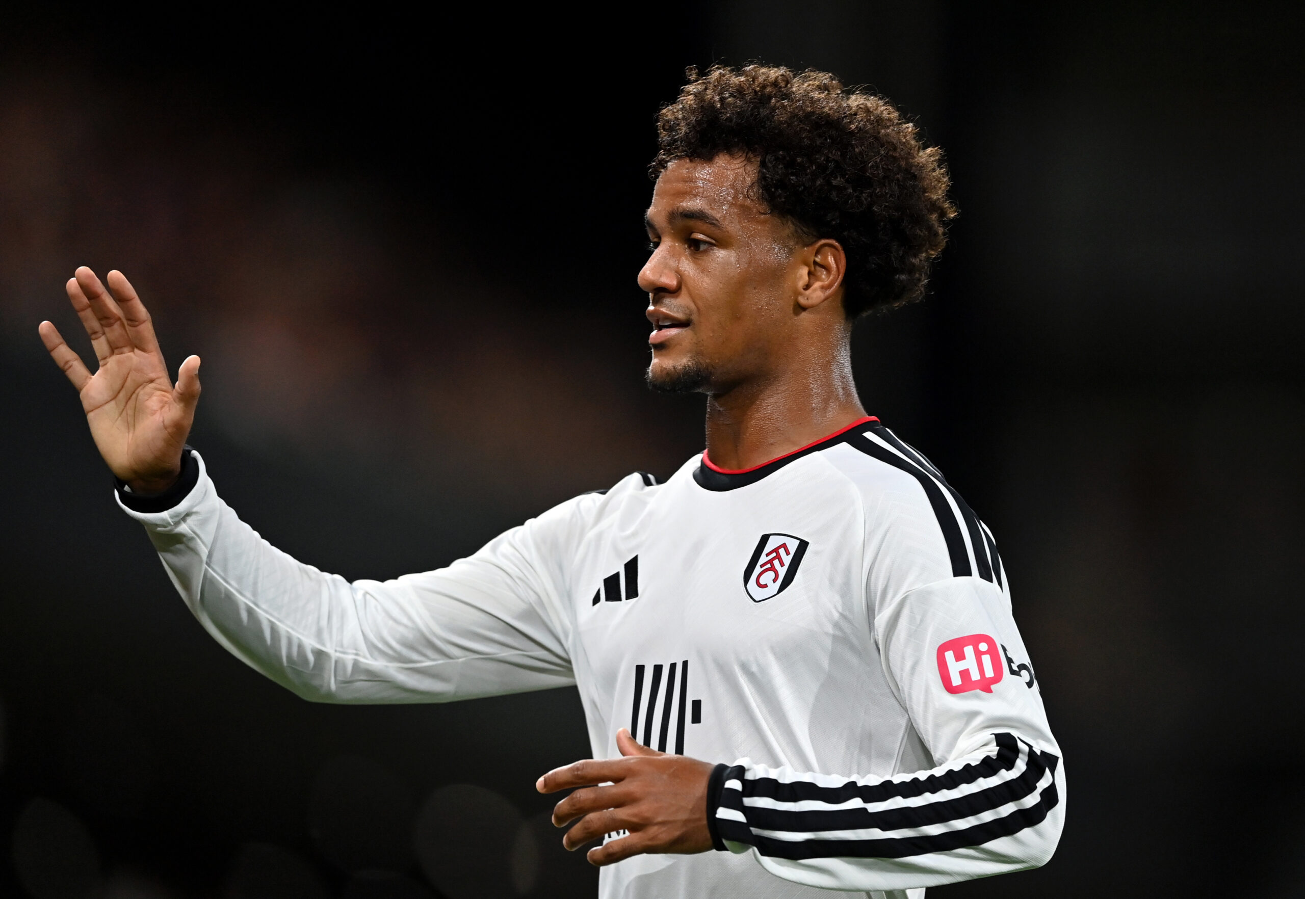 Fulham XI vs Sunderland – Predicted lineup and team news