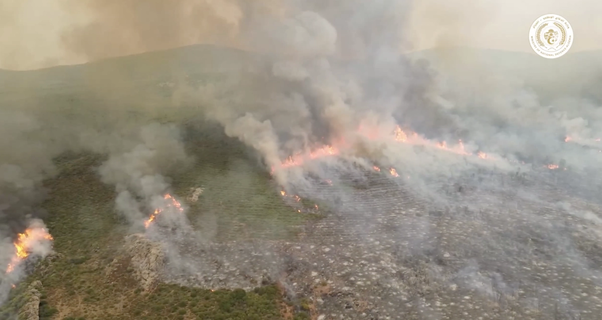 Saudi Arabia expresses solidarity with Algeria over deadly forest fires